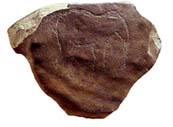 Nubian elephant